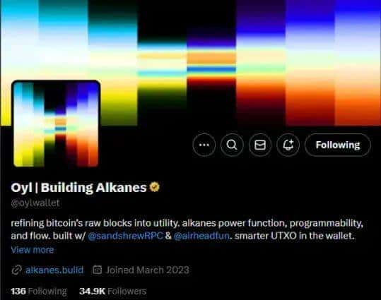 比特币生态惊现10倍盘！新资产协议Alkanes全解析！
