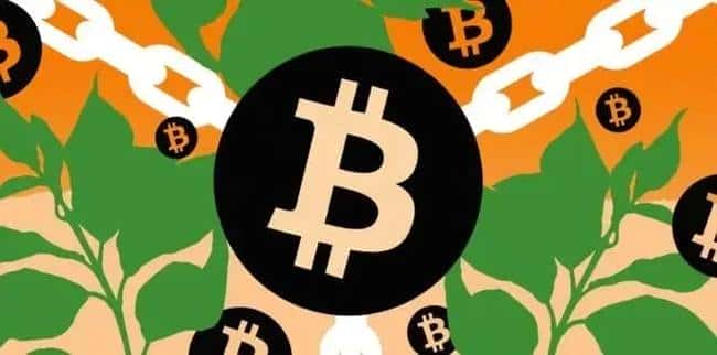 深度解析：有币区块链VS无币区块链，核心差异何在？