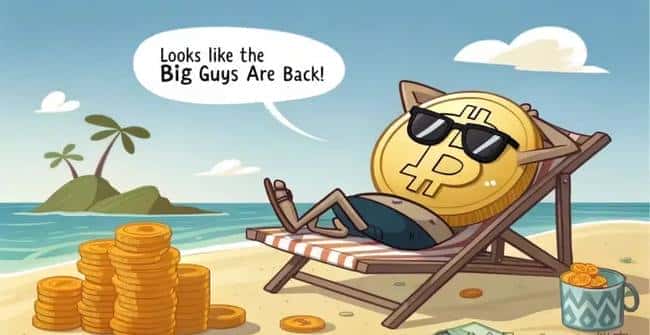 币圈小资金逆袭宝典：精准BTC/ETH行情剖析与滚仓秘籍