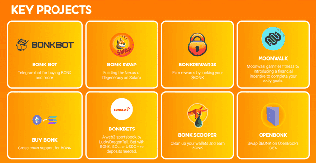 Solana生态爆火Meme币Bonk：2025年百倍黑马，热度势不可挡！