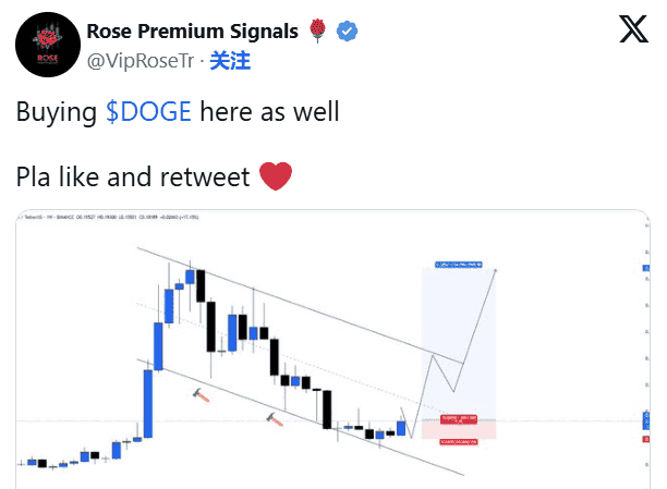 狗狗币暴涨154%在望？关键价位引爆市场关注！