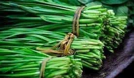 币圈合约：金融创新的迷雾，还是拉斯维加斯的赌局？