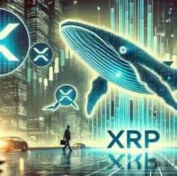 瑞波币（XRP）热度飙升，币安70%交易者看涨，能否成为下一个暴涨币？