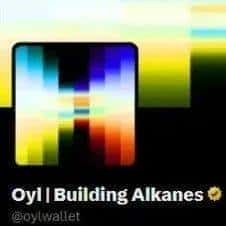 比特币生态惊现10倍盘！新资产协议Alkanes全解析！