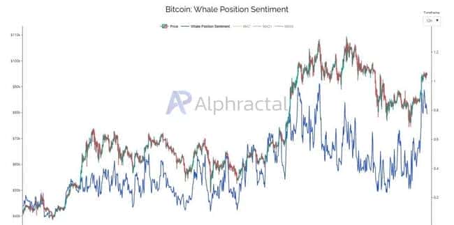 比特币ETF资金净流入30.2亿！鲸鱼谨慎，价格9.5万美元成难关！