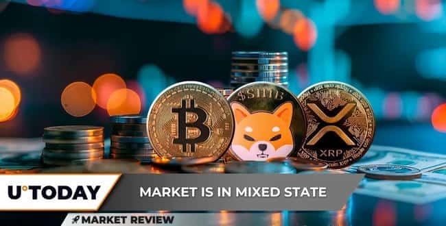 BTC闪耀黄金交叉，SHIB交易量濒危！XRP命悬2美元，却能直冲3美元巅峰？