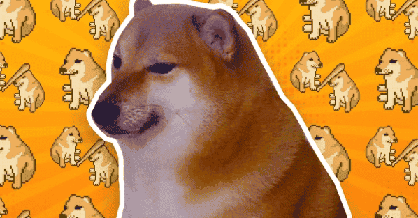 马斯克携犬发声：狗狗币挑战美元霸主地位，全球震惊！