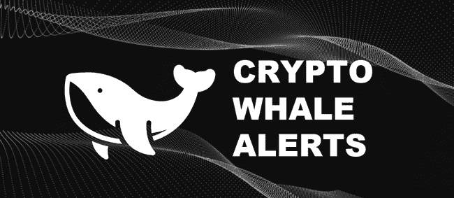 币友福利！揭秘币圈十大必备神器，助你驰骋加密世界！