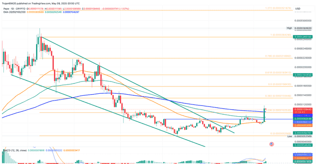PEPE币飙升35%！币安65%交易者押注：还将暴涨22%！