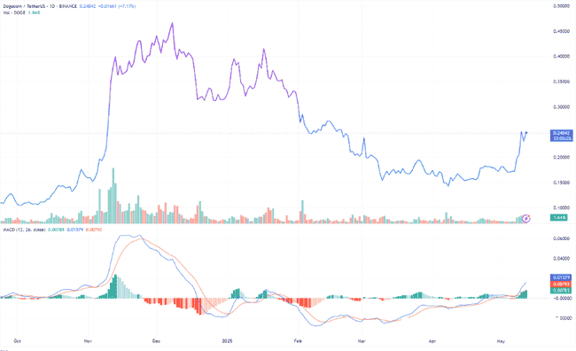 狗狗币（DOGE）疯牛狂奔！1美元仅是征途起点？未来涨幅或超850%！