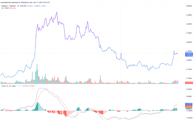 多重信号齐发，狗狗币（DOGE）熊途尽显曙光！