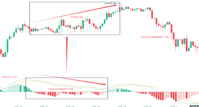 币圈新手秘籍：掌握K线形态，一步登天加密战场！