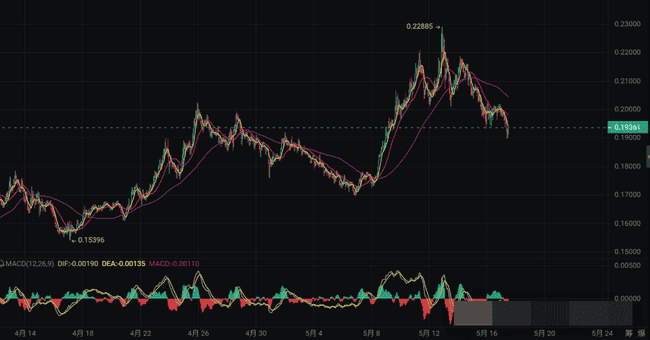 5款潜力山寨币蓄势待发：基本面强劲，增长潜力直冲500%！