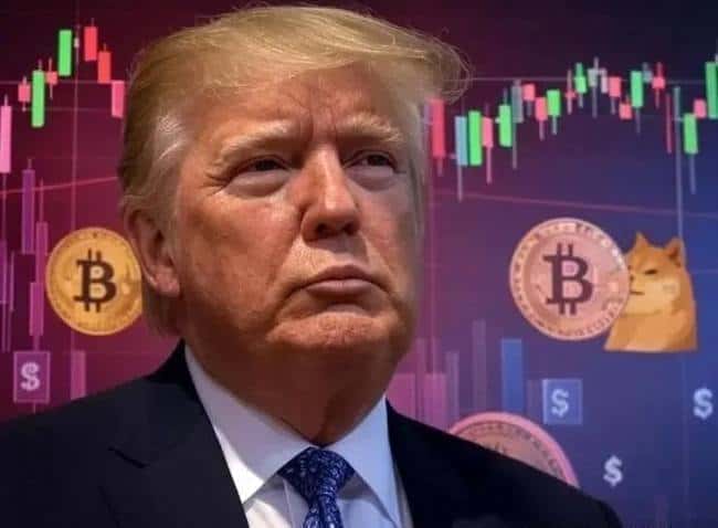 币圈牛市真相揭秘：真的是四年一遇吗？