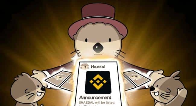 Haedal币空投震撼来袭！Sui生态新爆发点指日可待？