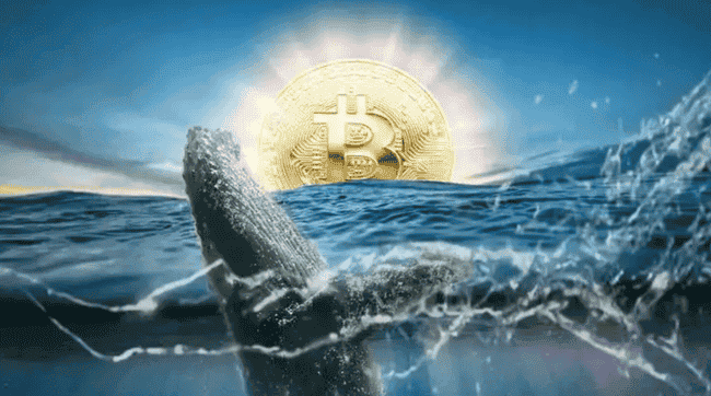 特朗普祸从口出，比特币巨鲸连续亏损惨重！
