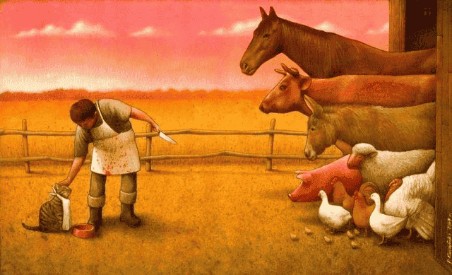 太阳币来袭：太阳为何亲自投身数字货币浪潮？