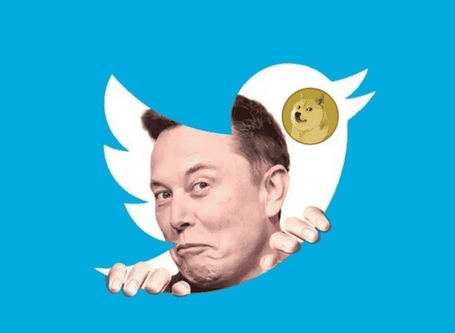 狗狗币狂欢：揭秘两大推手，助力DOGE直冲5美元巅峰！