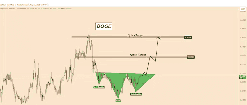 狗狗币惊现黄金机遇！暴涨信号已锁定，0.25美元仅是崛起前奏？