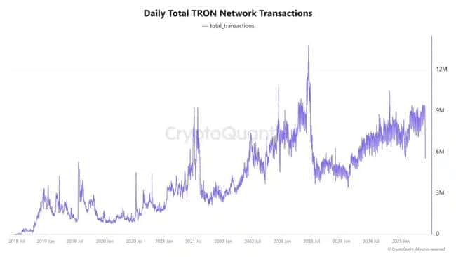 2025年三大百倍币王蓄势待发！牛市前最后的暴富机会