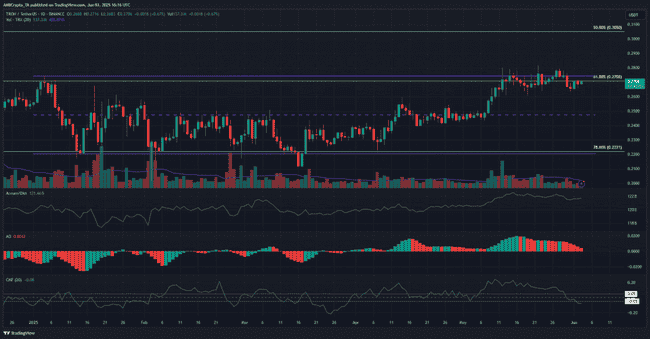 2025年三大百倍币王蓄势待发！牛市前最后的暴富机会
