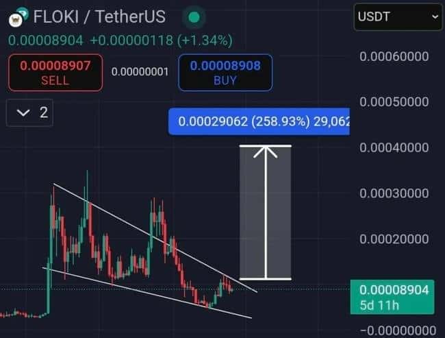 2025年三大百倍币王蓄势待发！牛市前最后的暴富机会