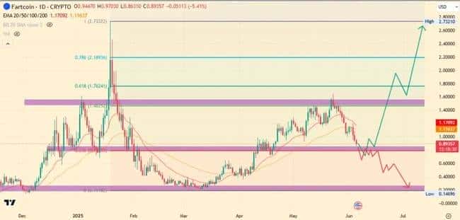 2025年巨鲸最新动向：这3大潜力山寨币即将爆发！
