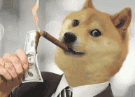 狗狗币(DOGE)今夜决战0.17美元：守住即暴涨300%！最新行情深度解析