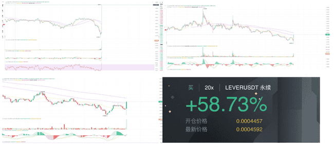比特币真假牛市：山寨币抄底良机，DeFi财富密码揭秘！