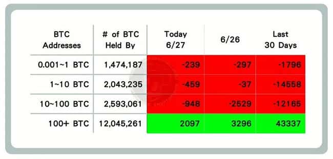 50万贷款梭哈比特币：我的真实财富实验