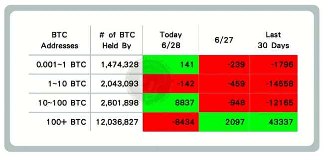 50万贷款梭哈比特币：我的真实财富实验