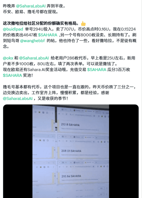 Newton与Sahara空投深度解析：实操收获与投研秘籍！