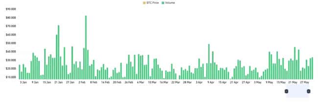 2025加密半年报：比特币一枝独秀，山寨币集体哑火？
