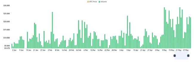 2025加密半年报：比特币一枝独秀，山寨币集体哑火？