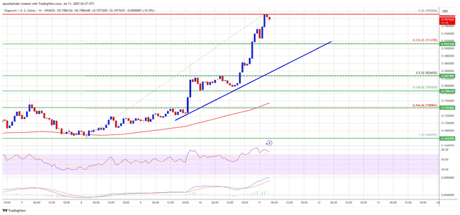 狗狗币狂飙突破0.18美元！下一个目标0.20？牛市信号已确认，关键支撑位全曝光！