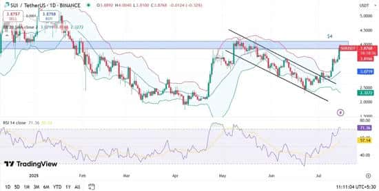 2025牛市黑马：这山寨币有望暴涨3倍！
