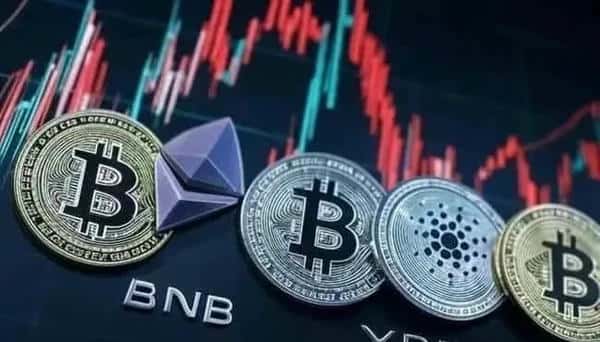 币圈黑话宝典：新手秒懂核心术语