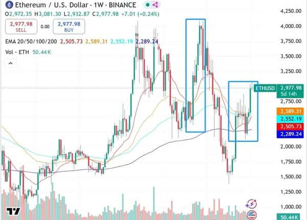 机构重仓！五大山寨币黄金赛道，下一个财富密码揭晓！