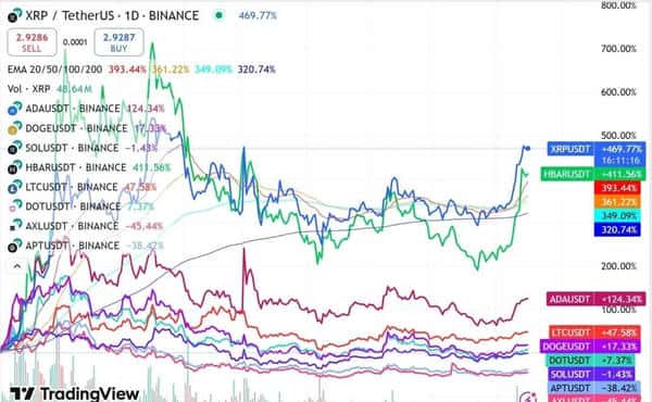 机构重仓！五大山寨币黄金赛道，下一个财富密码揭晓！