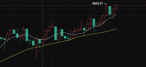 今日行情：一文读懂市场风向！