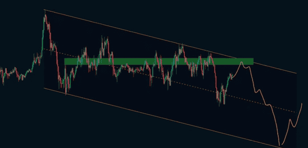 巨鲸狂抛比特币暴跌!山寨币抄底机会?RWA会是下一个财富密码吗?