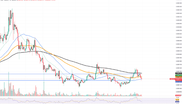 空头惨遭爆仓！SHIB、BTC、XRP集体反攻，大行情一触即发？