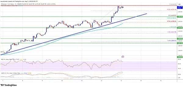 重磅！ETH强势反弹，ETF吸金狂潮，稳定币市值创新高，币圈彻底沸腾！