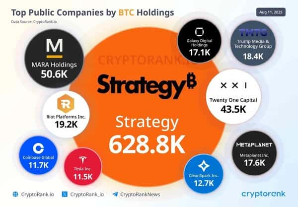 币圈黑话：新手秒懂，告别听不懂的尴尬！