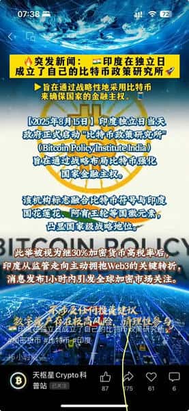 币圈：普通人的财富绞肉机