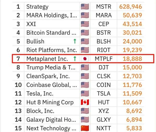以太坊巨鲸揭秘：市场极端分化，普通人如何抓住财富赛道？