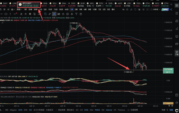 为何价格未大跌却被清算？真相揭秘！