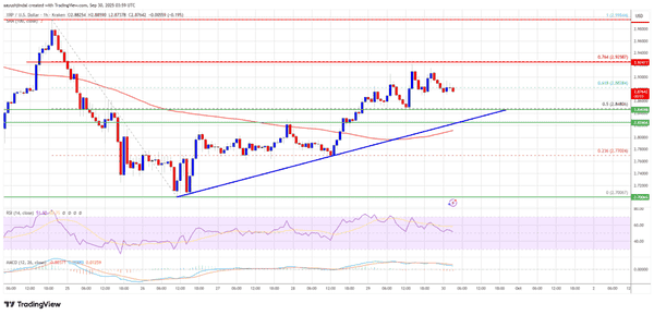 币圈大佬放话：ETH、XRP、SOL，谁能笑到最后？