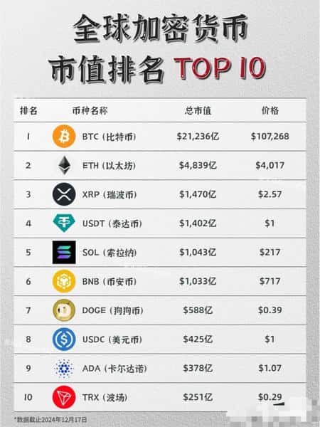 新手必看：加密货币币种全解析！