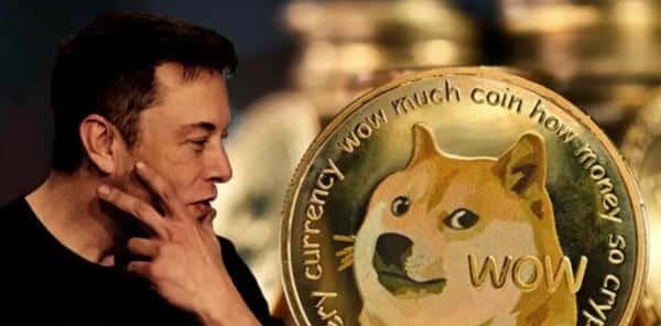 新手必看：加密货币币种全解析！